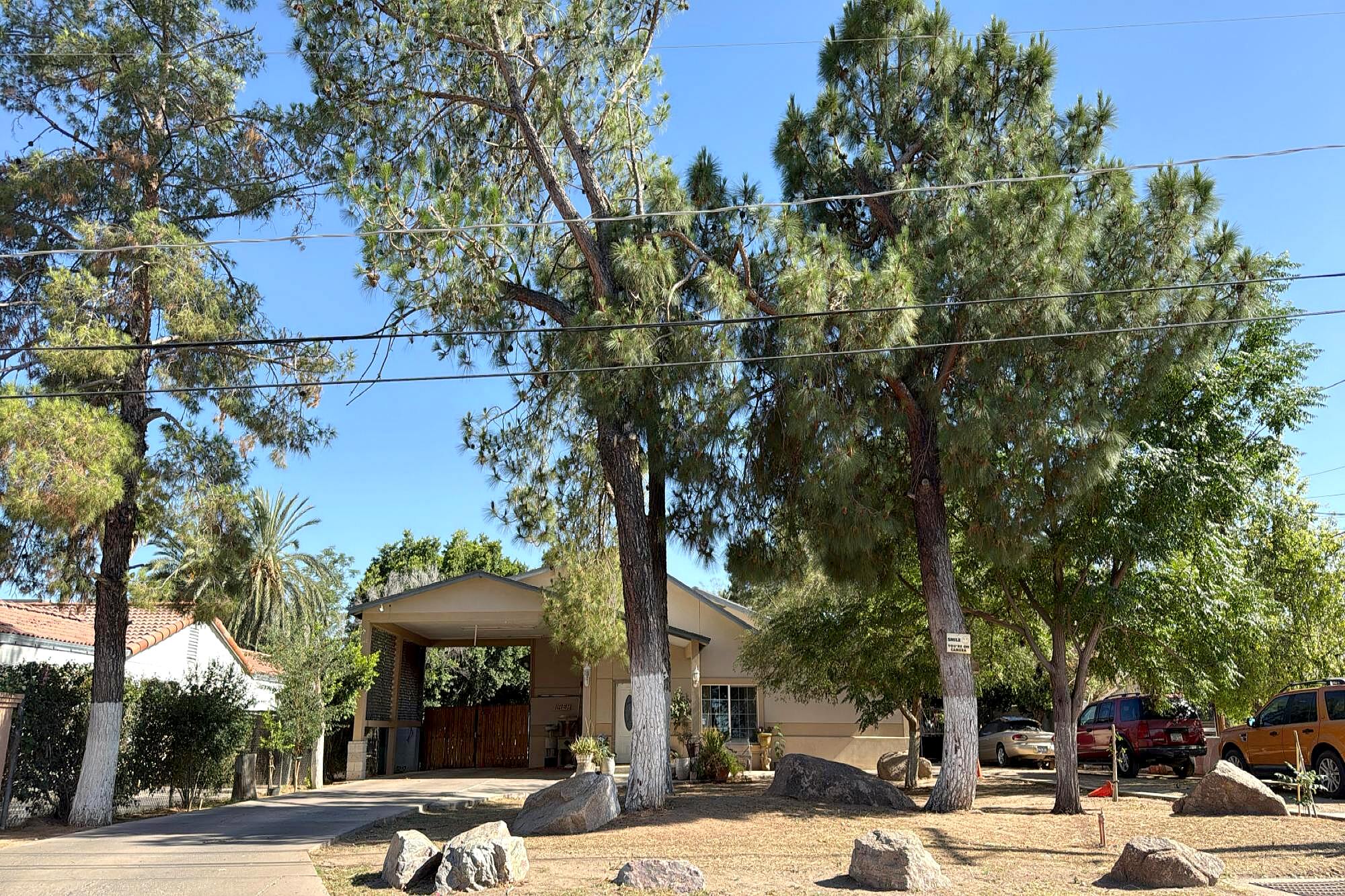 Main image