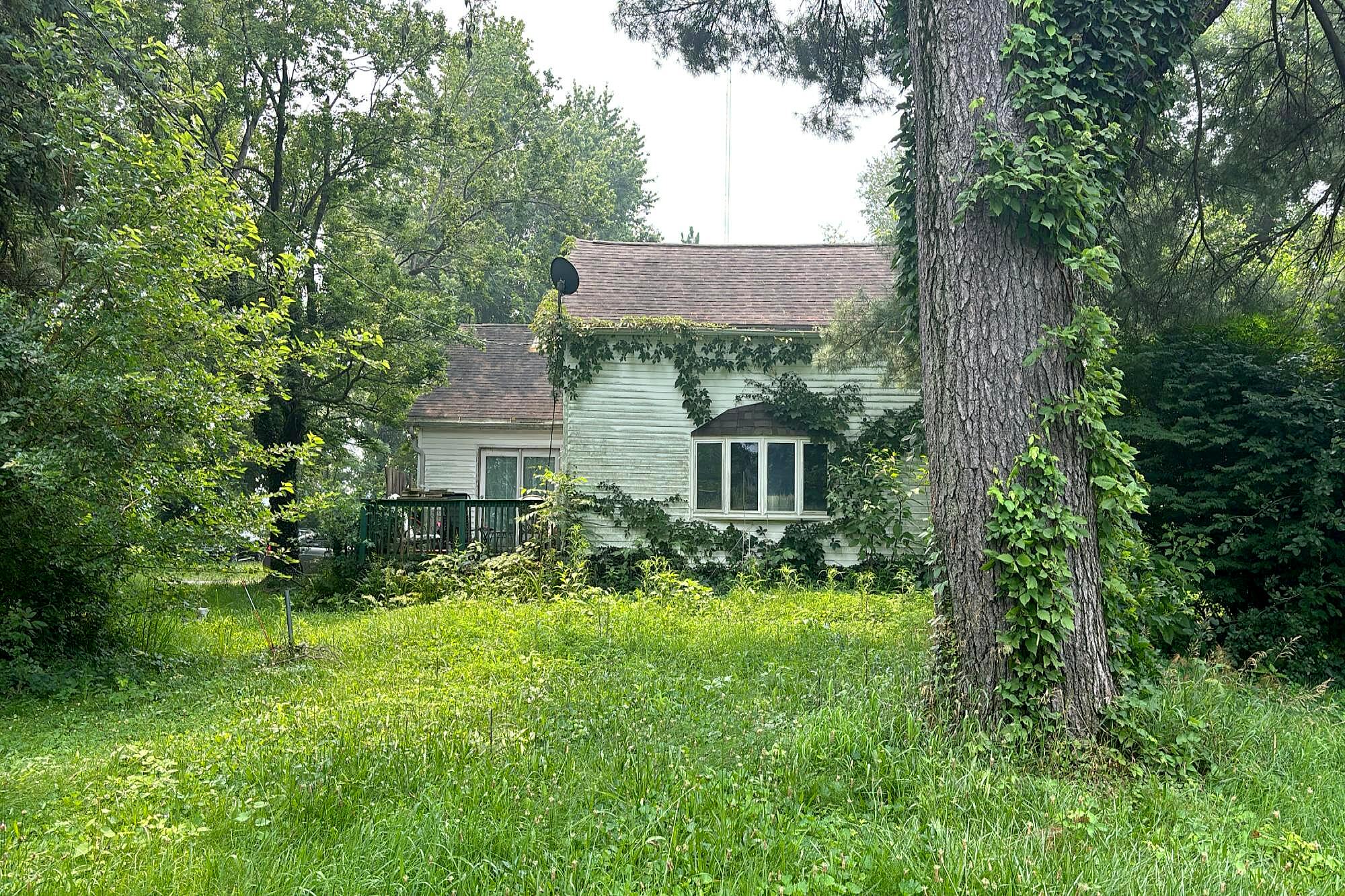 Main image