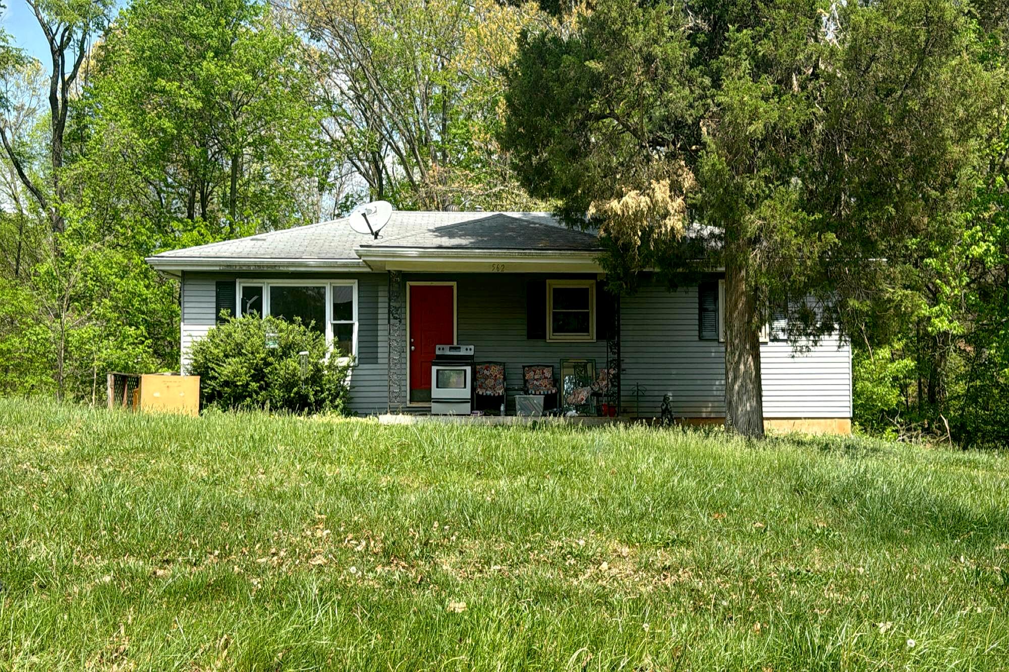 Main image