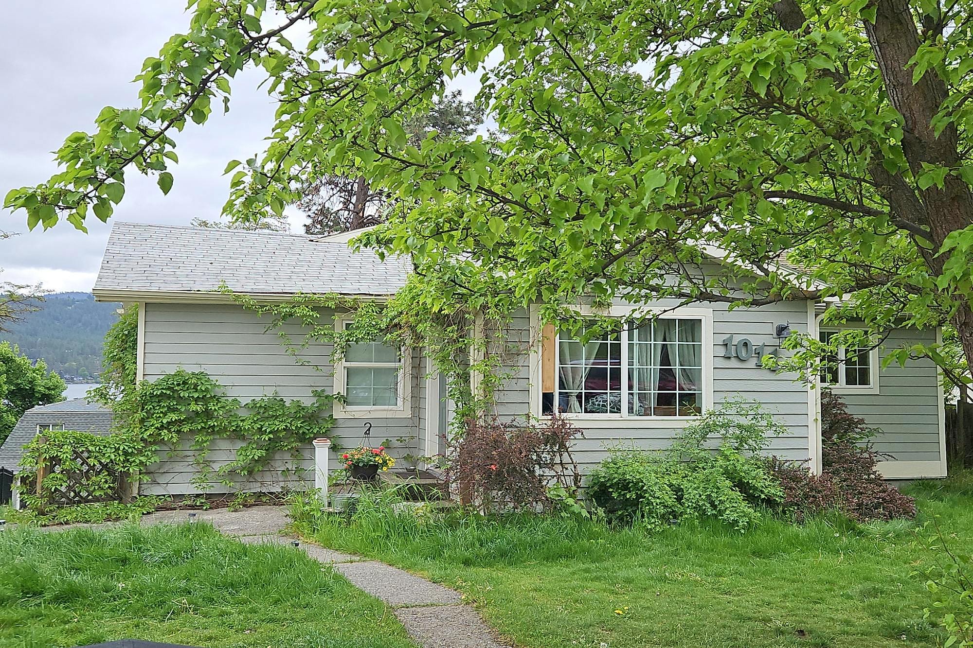 Main image