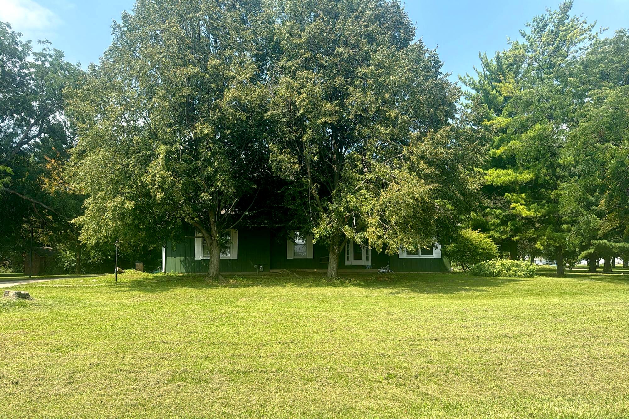 Main image