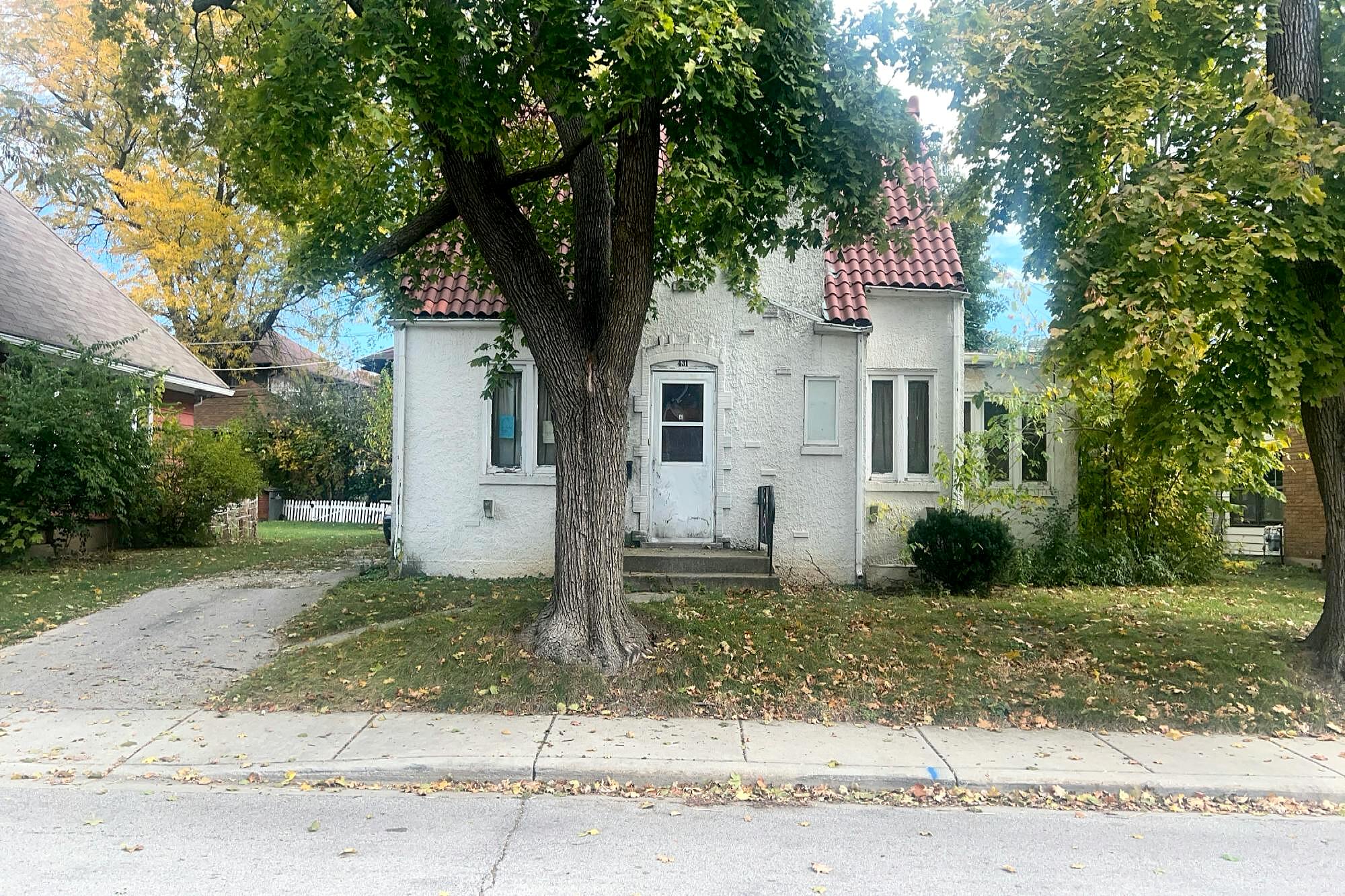 Main image