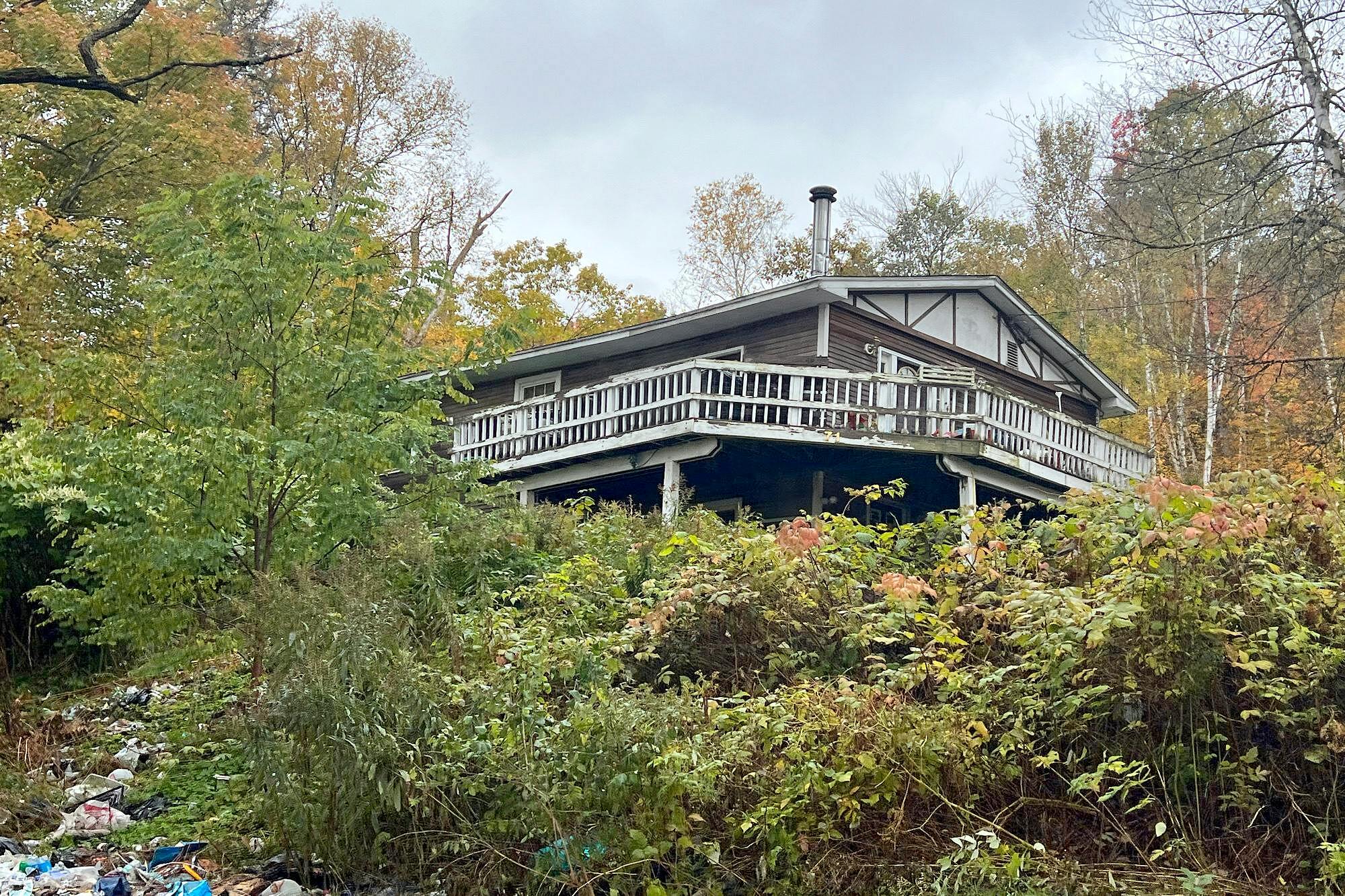 Main image