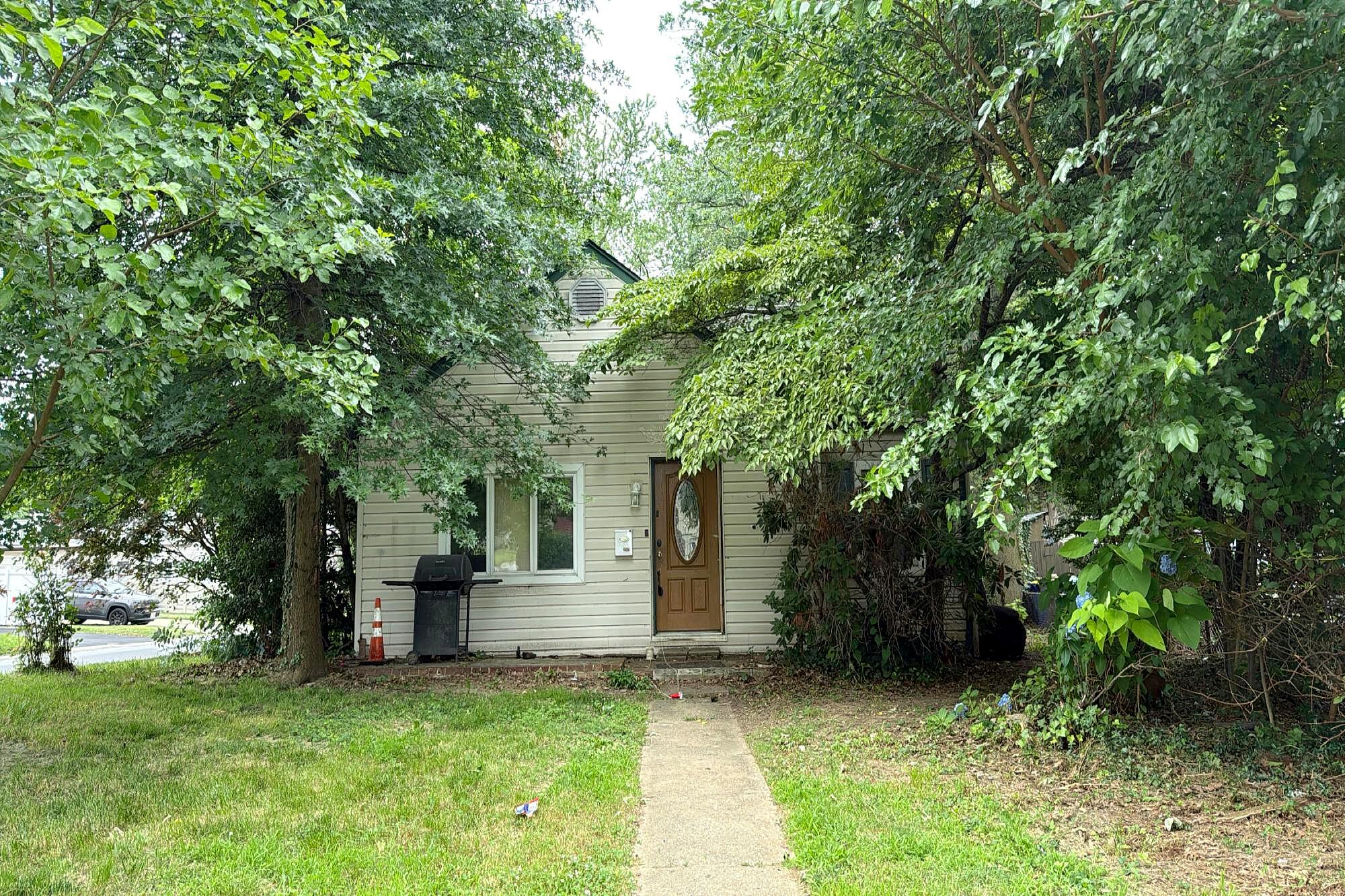 Main image