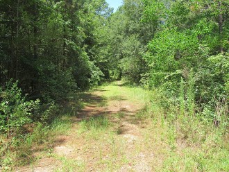 Mcginty Rd, Moultrie, GA, 31768