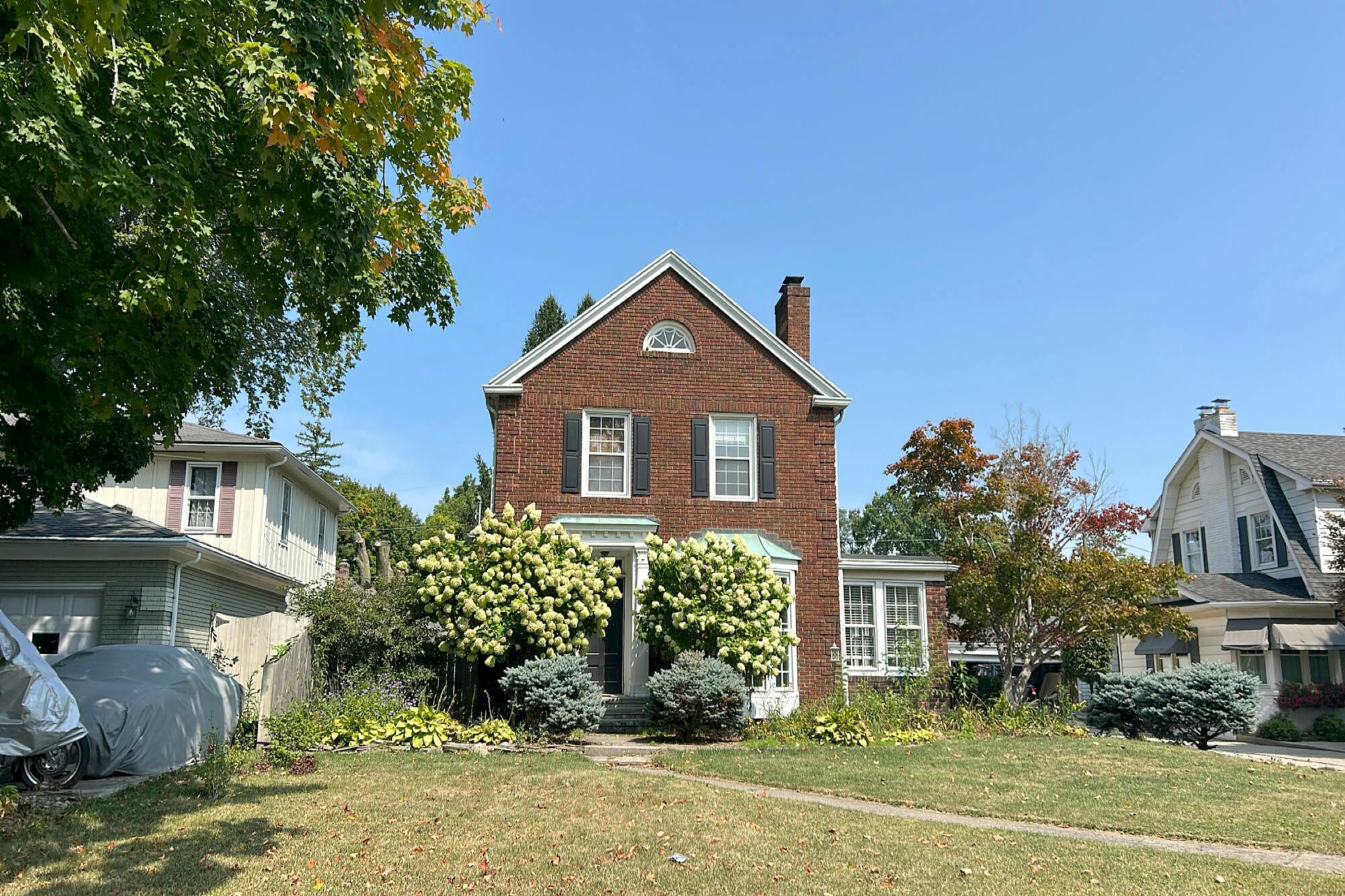 Main image