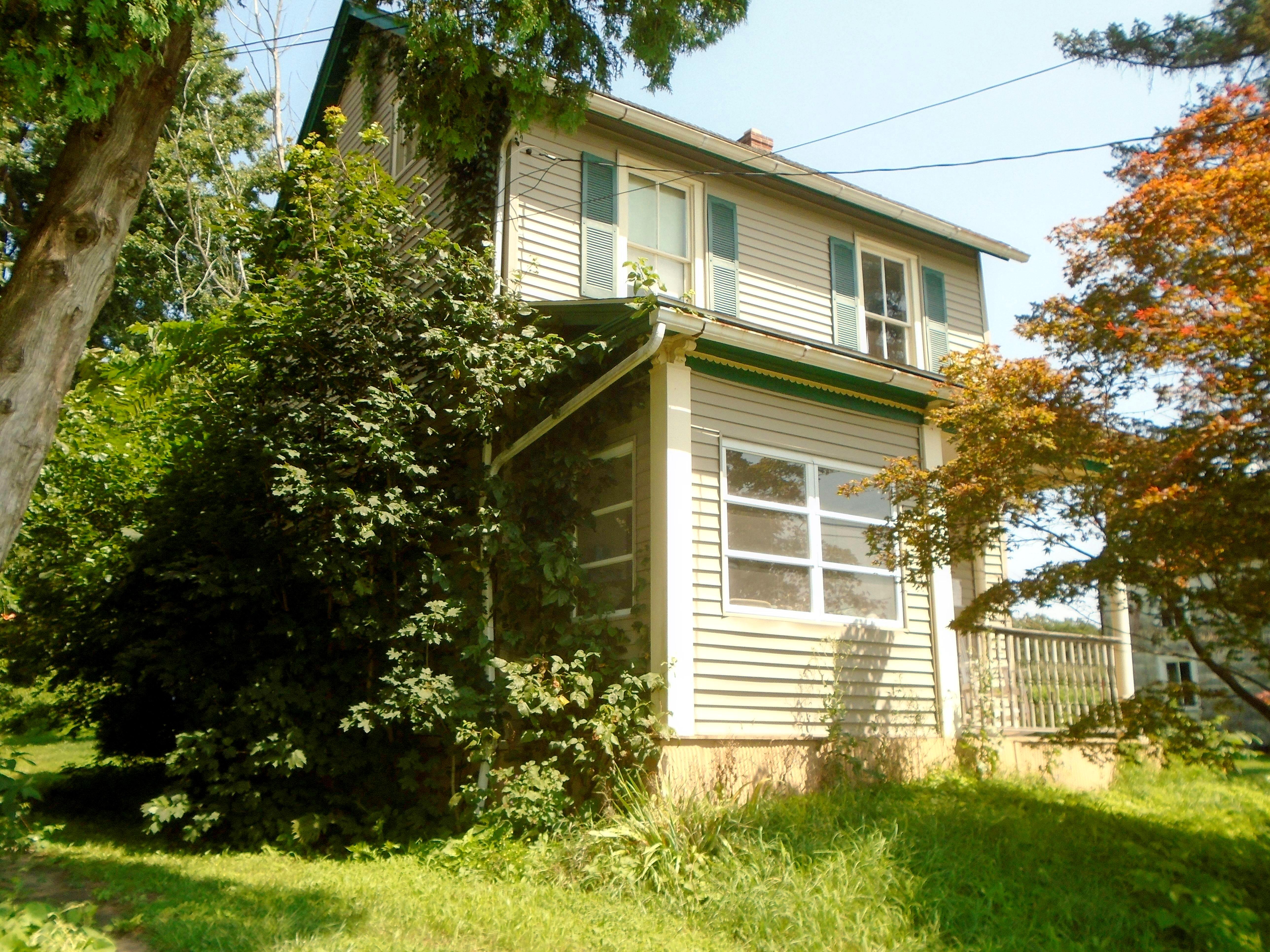 Main image
