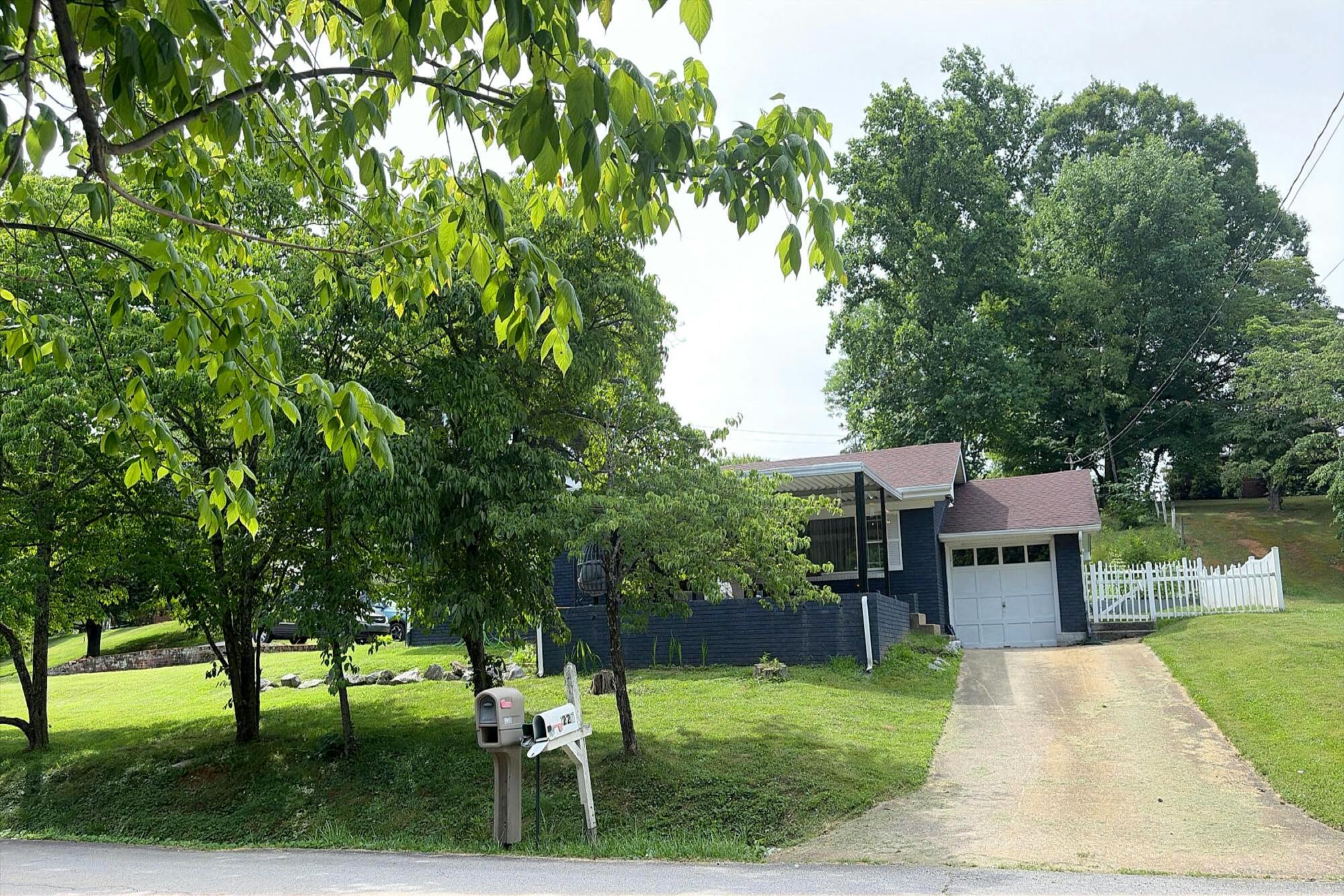 Main image