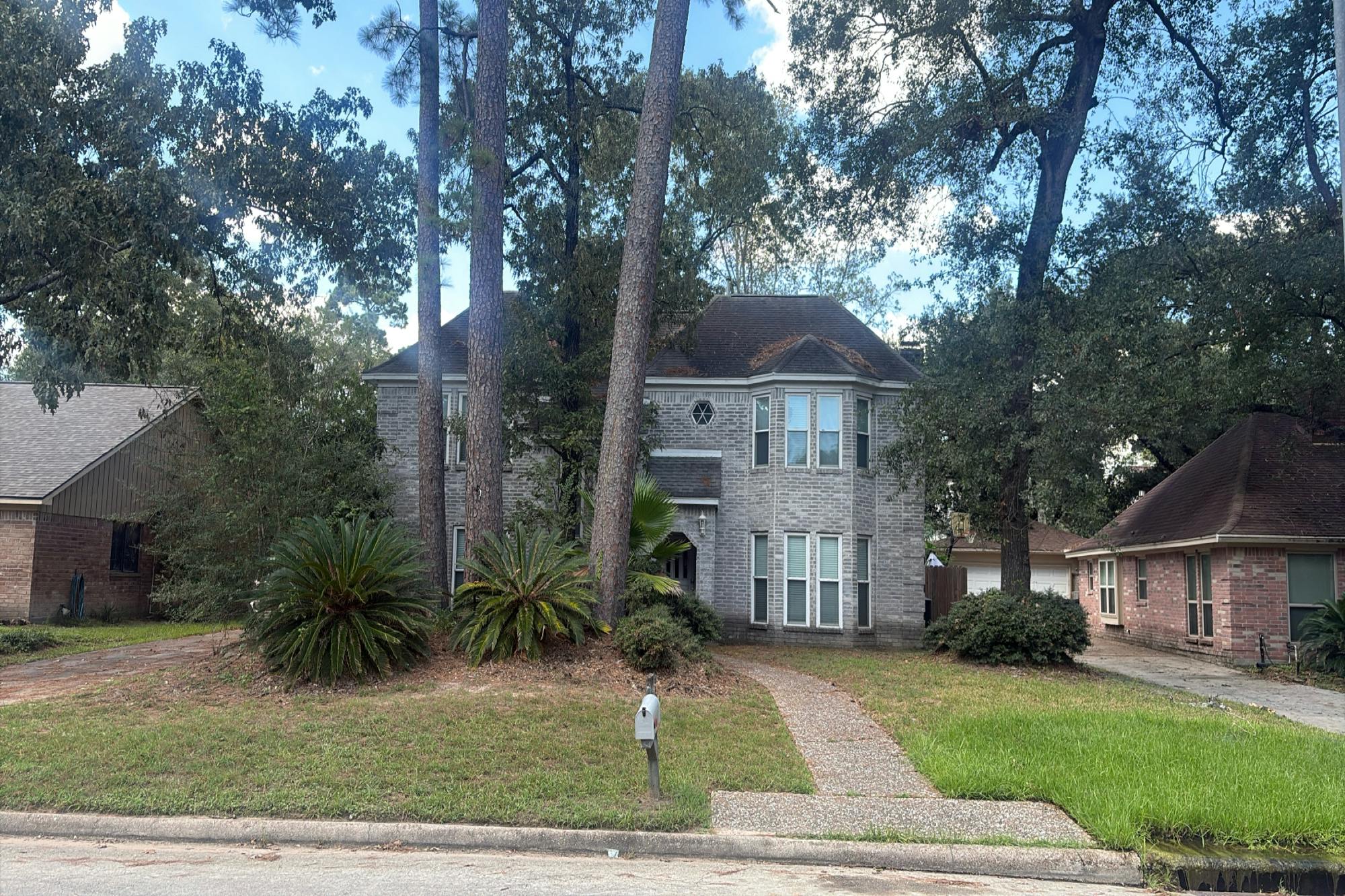 Main image