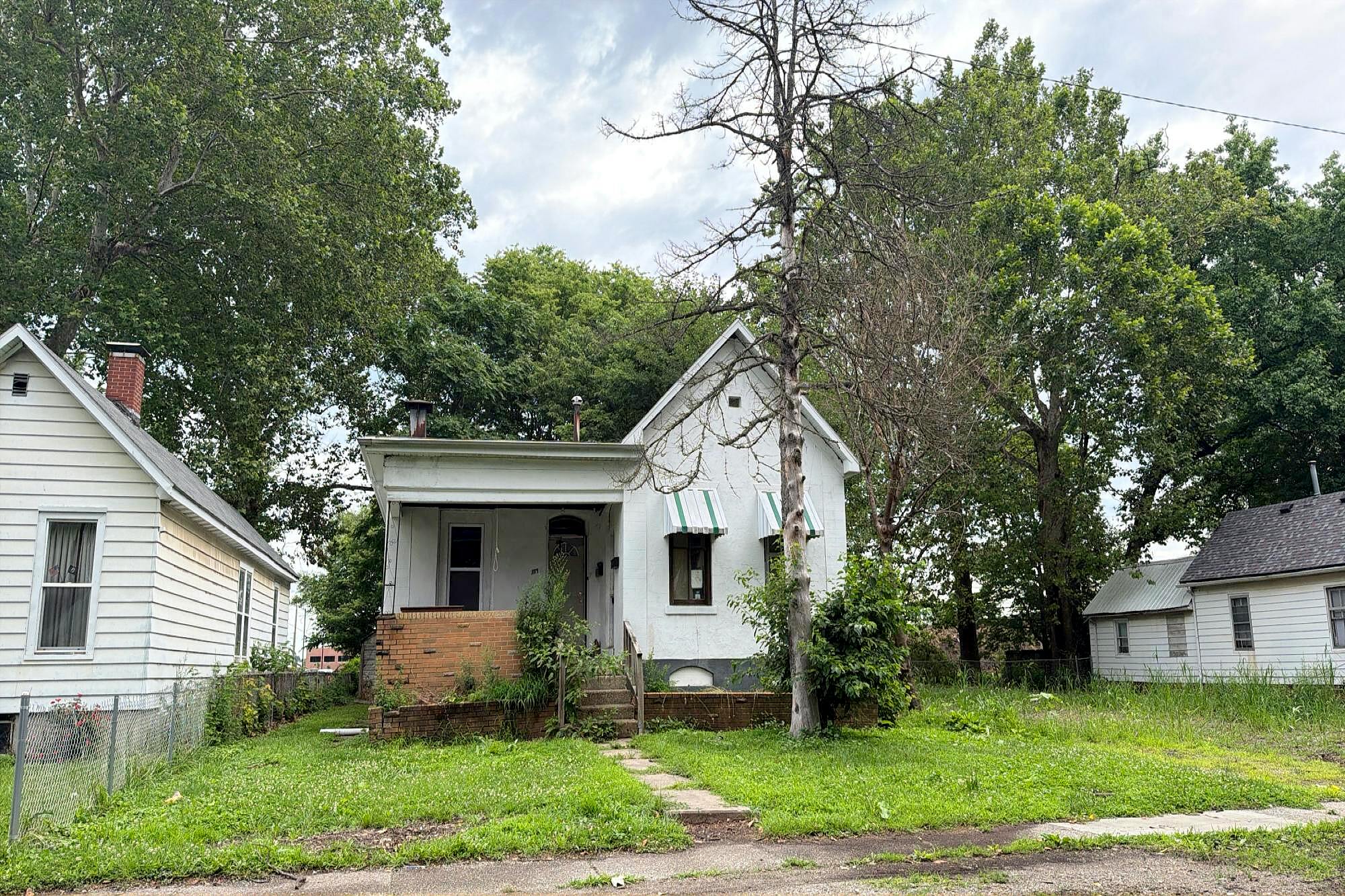Main image