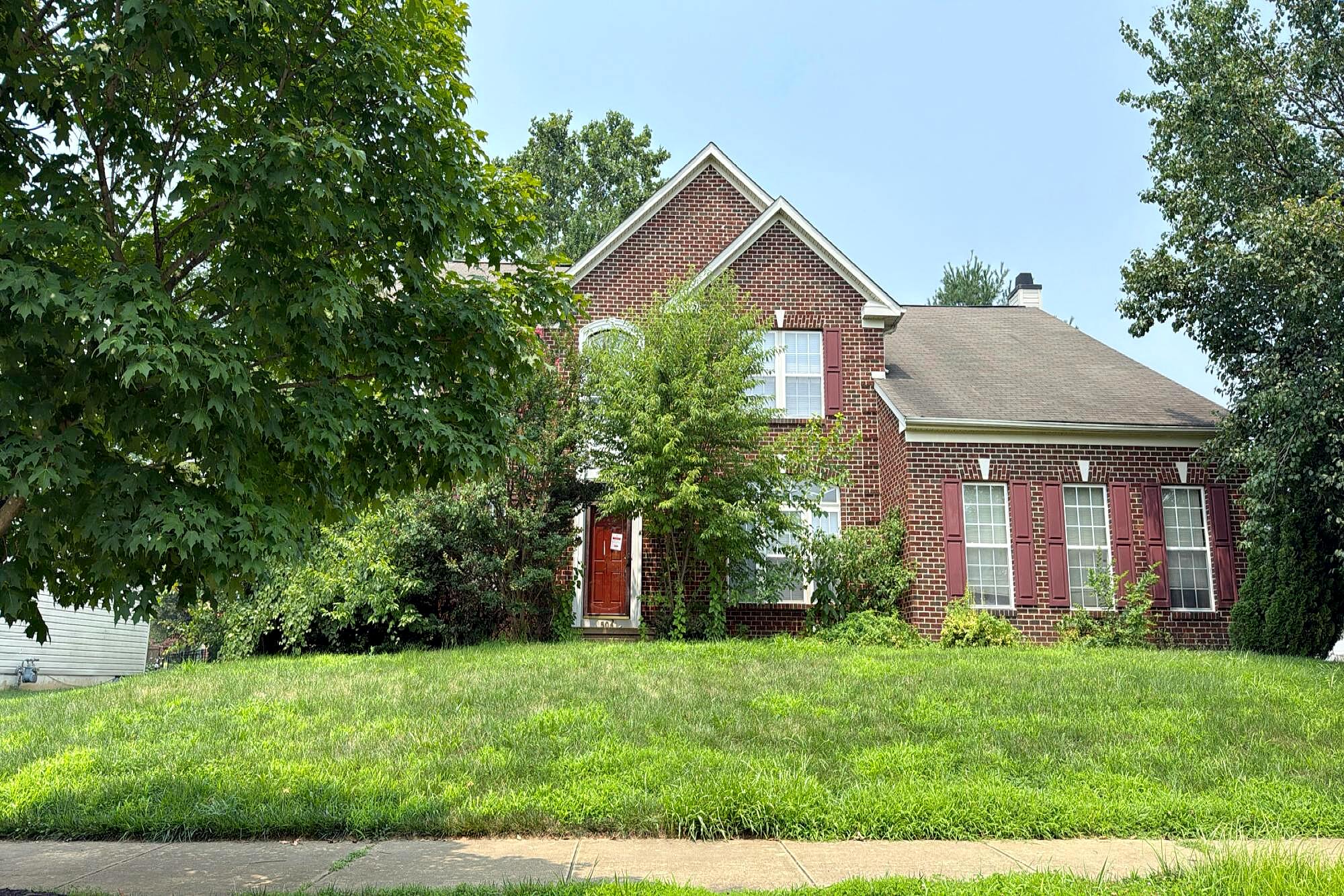 Main image