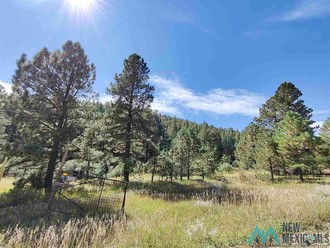 4 23 Acres Encinal Road, Cleveland, NM, 87715