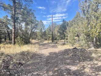 Upper Patterson Canyon, Magdalena, NM, 87825