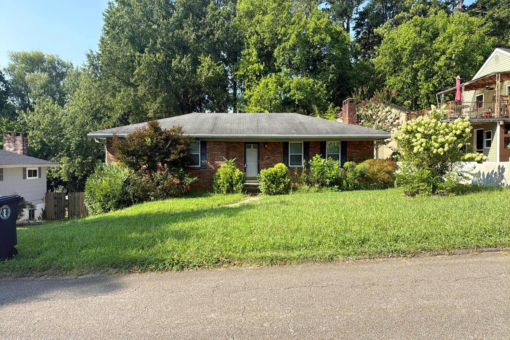Main image