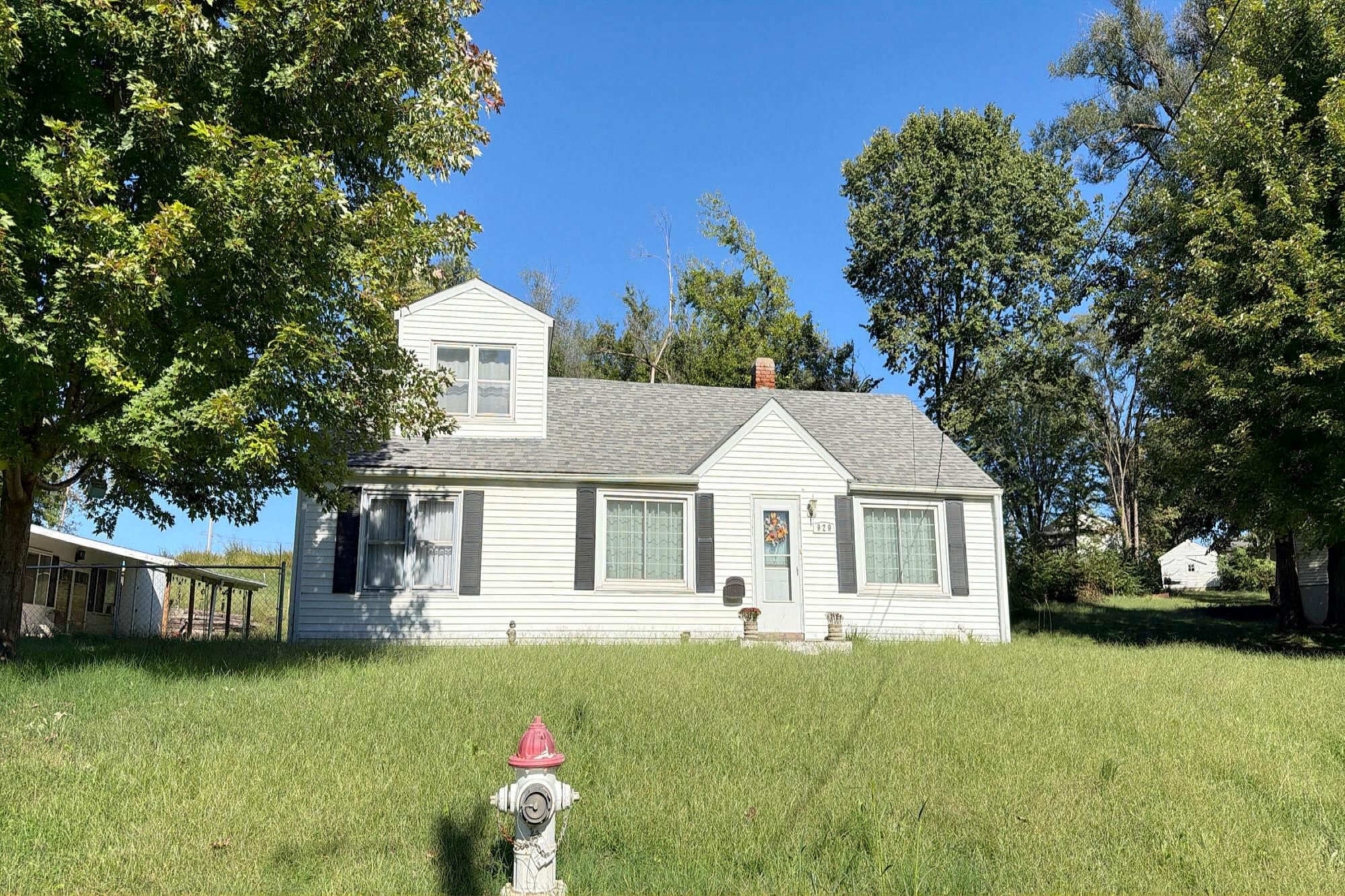 Main image