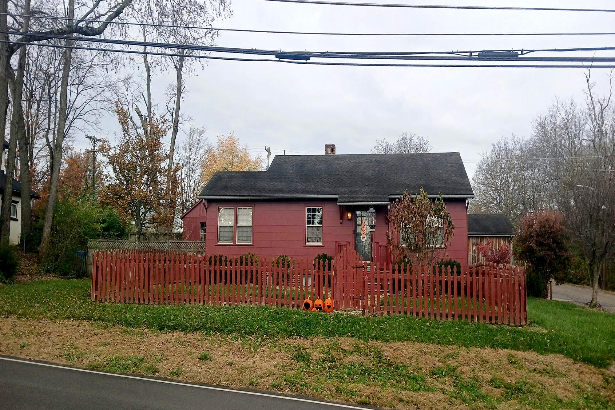 Main image