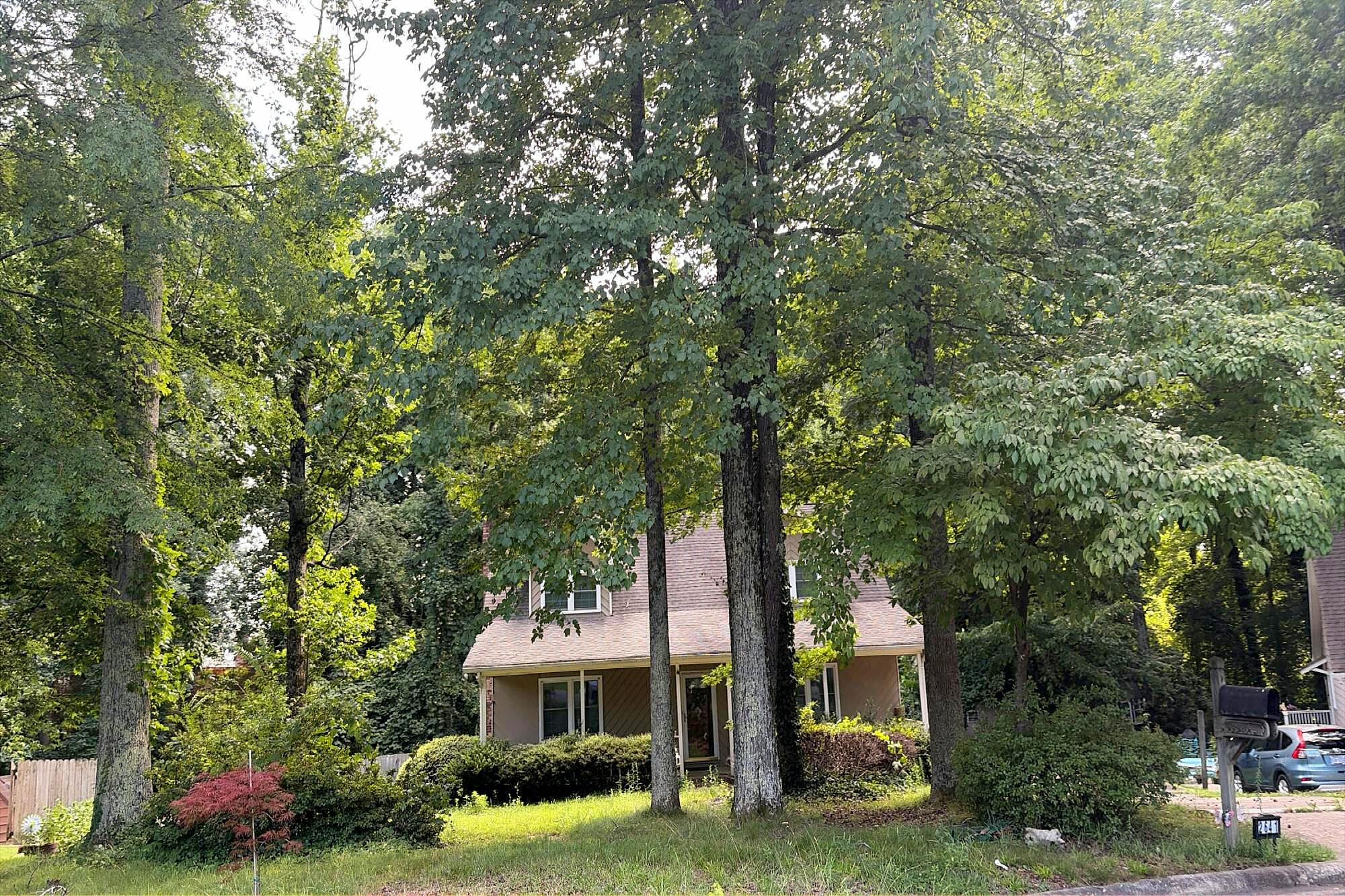 Main image