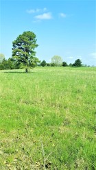 000 County Road 244, Couch, MO, 65690
