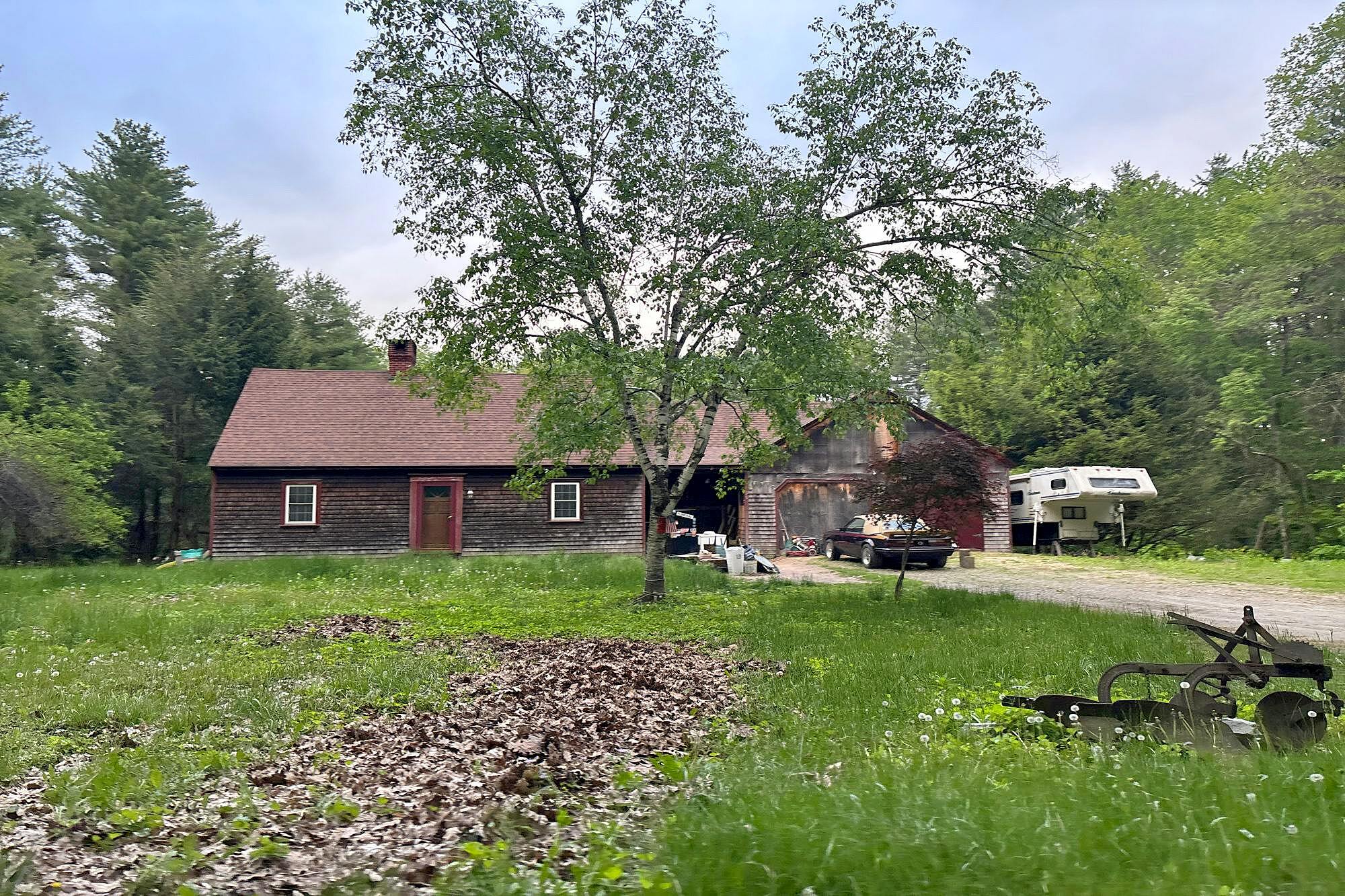 Main image