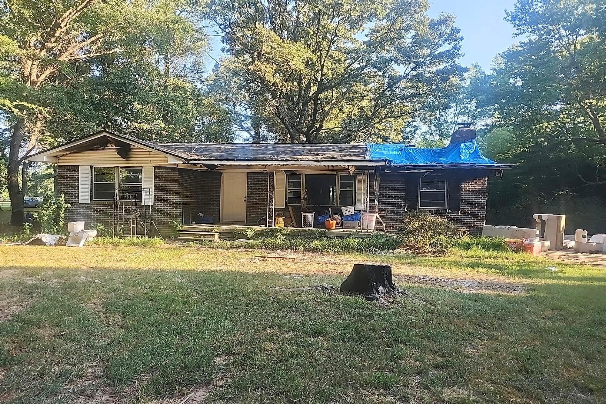 Main image