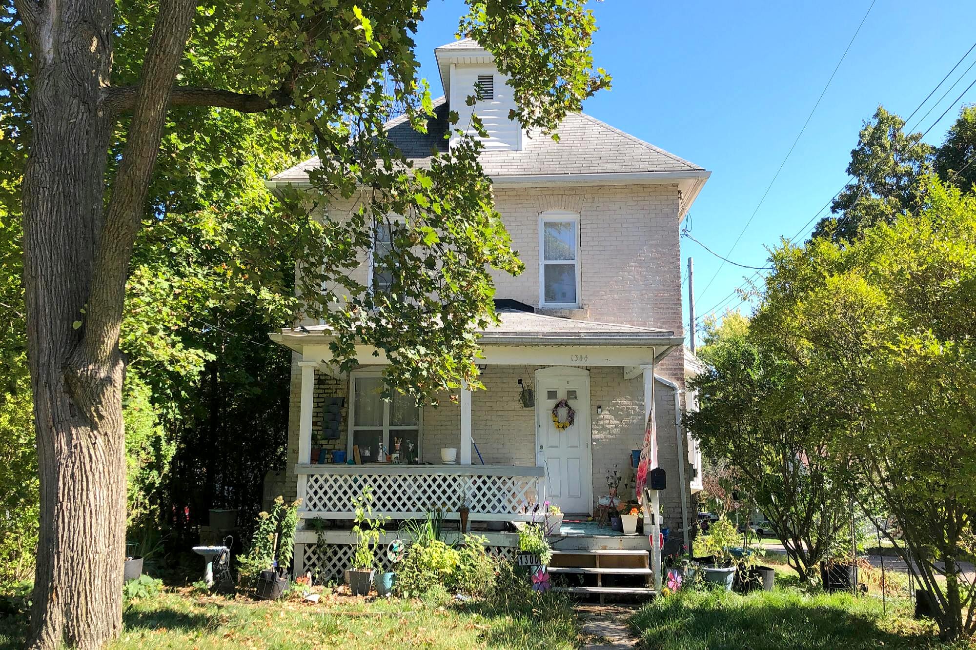 Main image