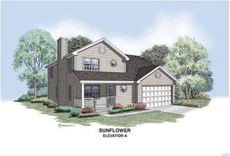 1 Tbb Southern Heights-sunflower, Pevely, MO, 63070