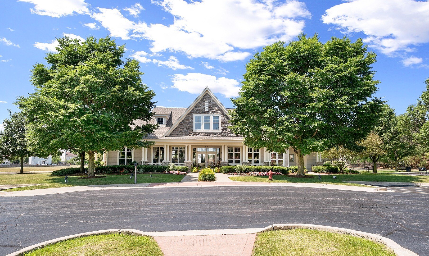 Main image