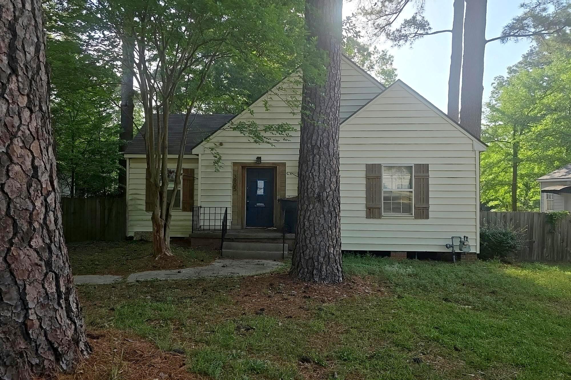 Main image