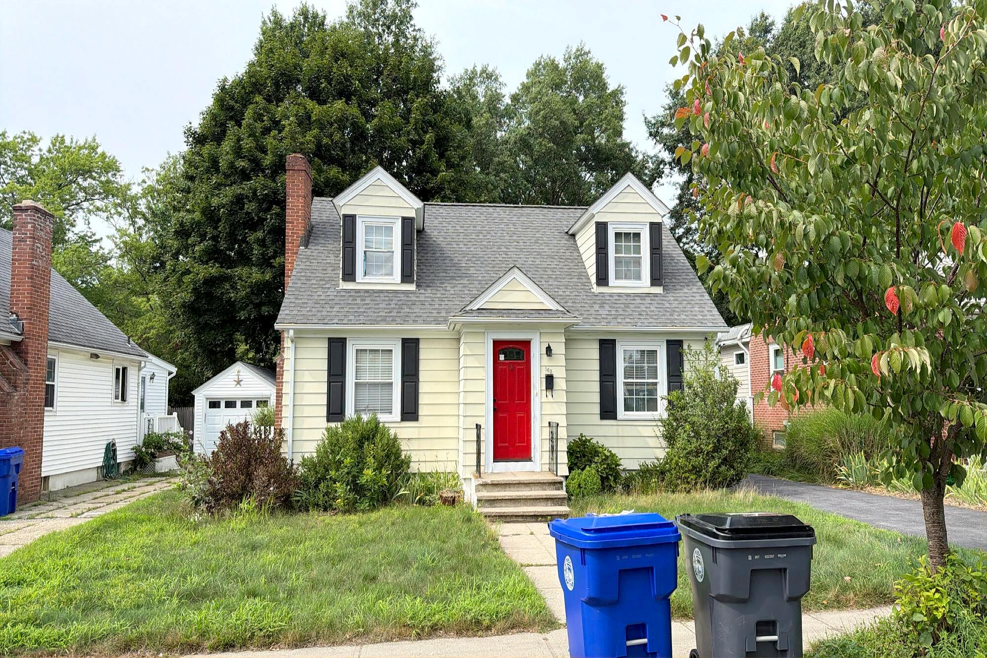 Main image