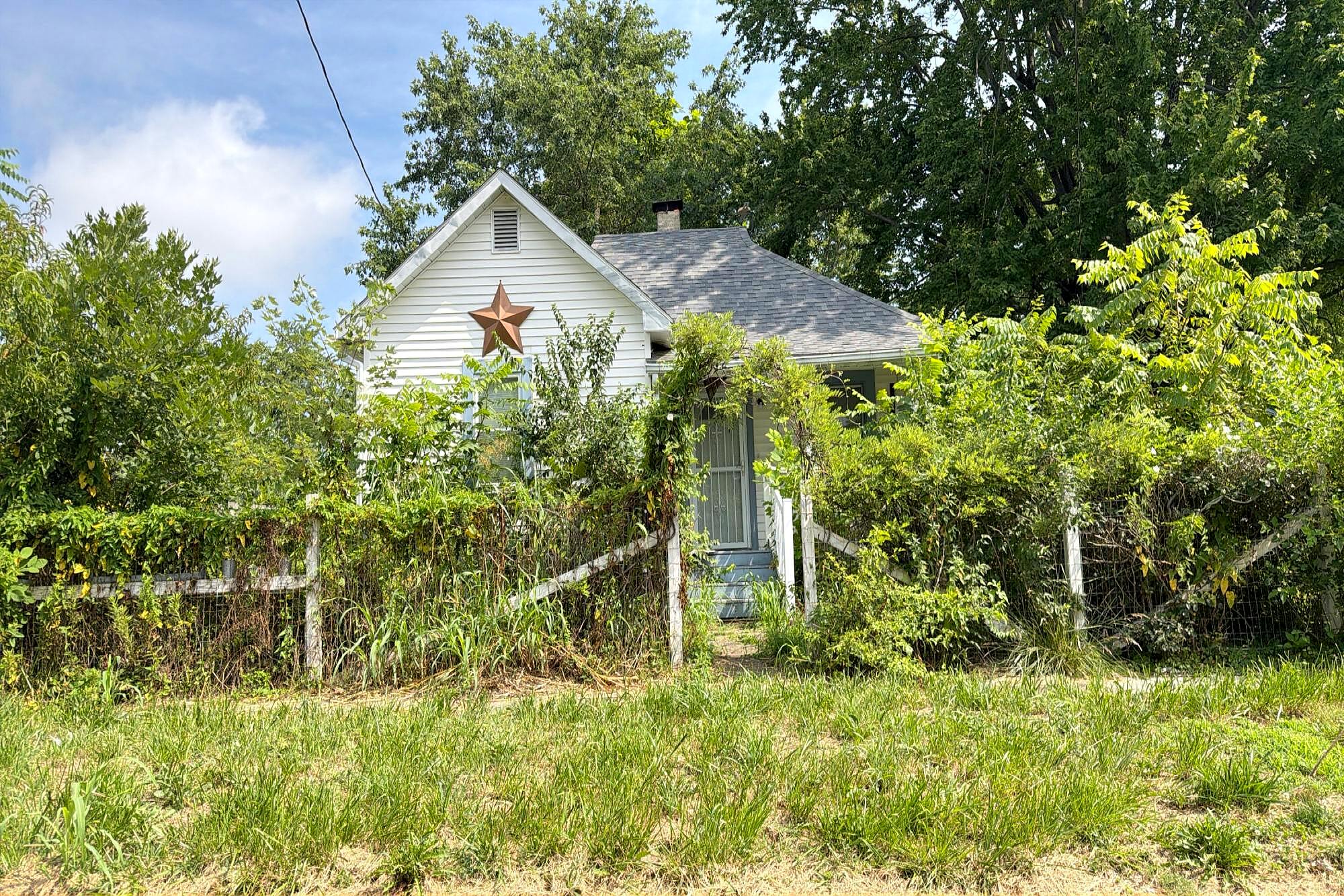 Main image