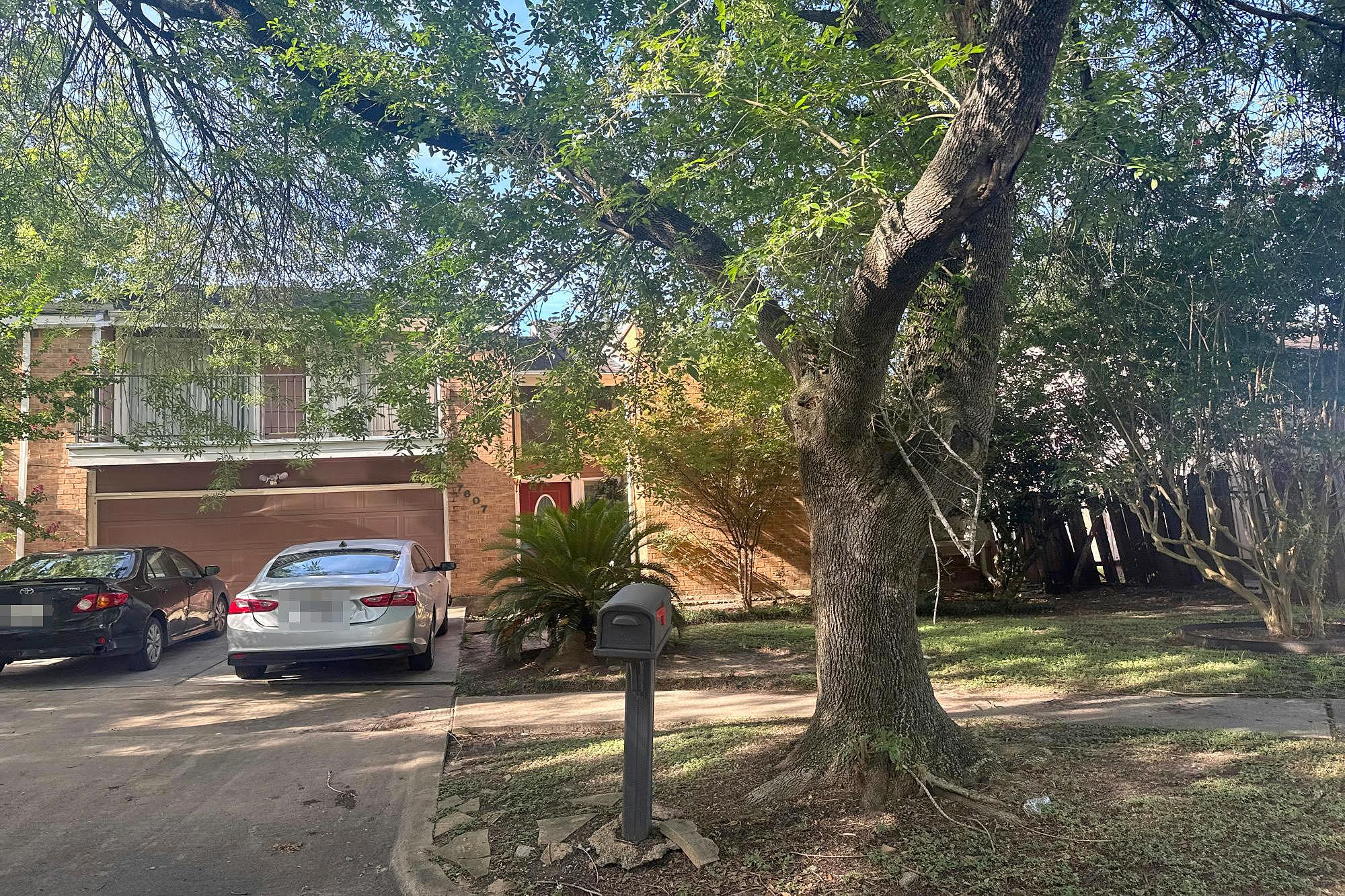 Main image