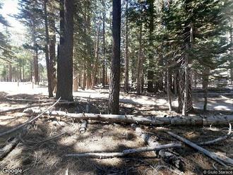 Forest Trl, Mammoth Lakes, CA, 93546