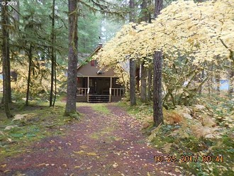Cabin 182 Northwoods, Cougar, WA, 98616