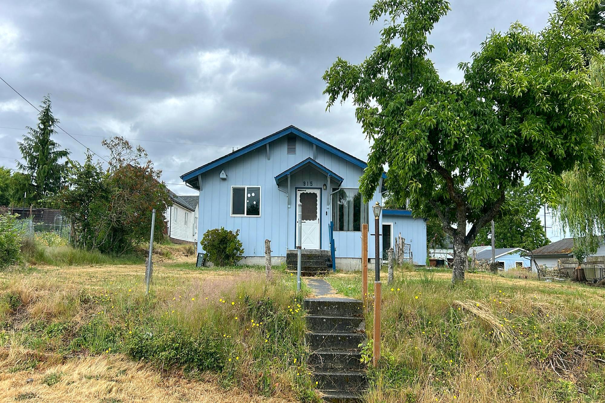 Main image