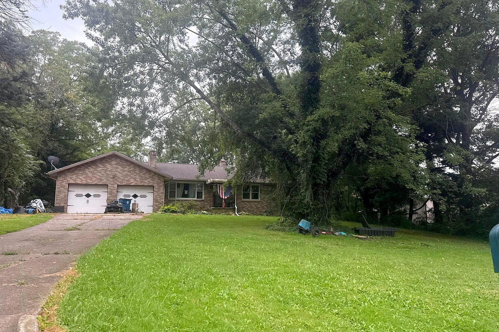 Main image