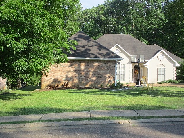 Main image