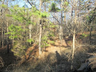 55 Golden Trail, Raymondville, MO, 65555