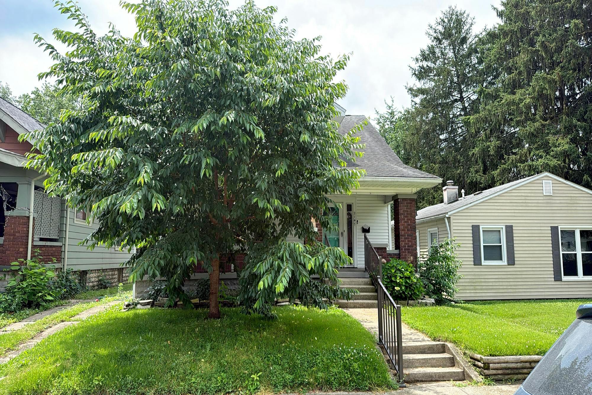 Main image