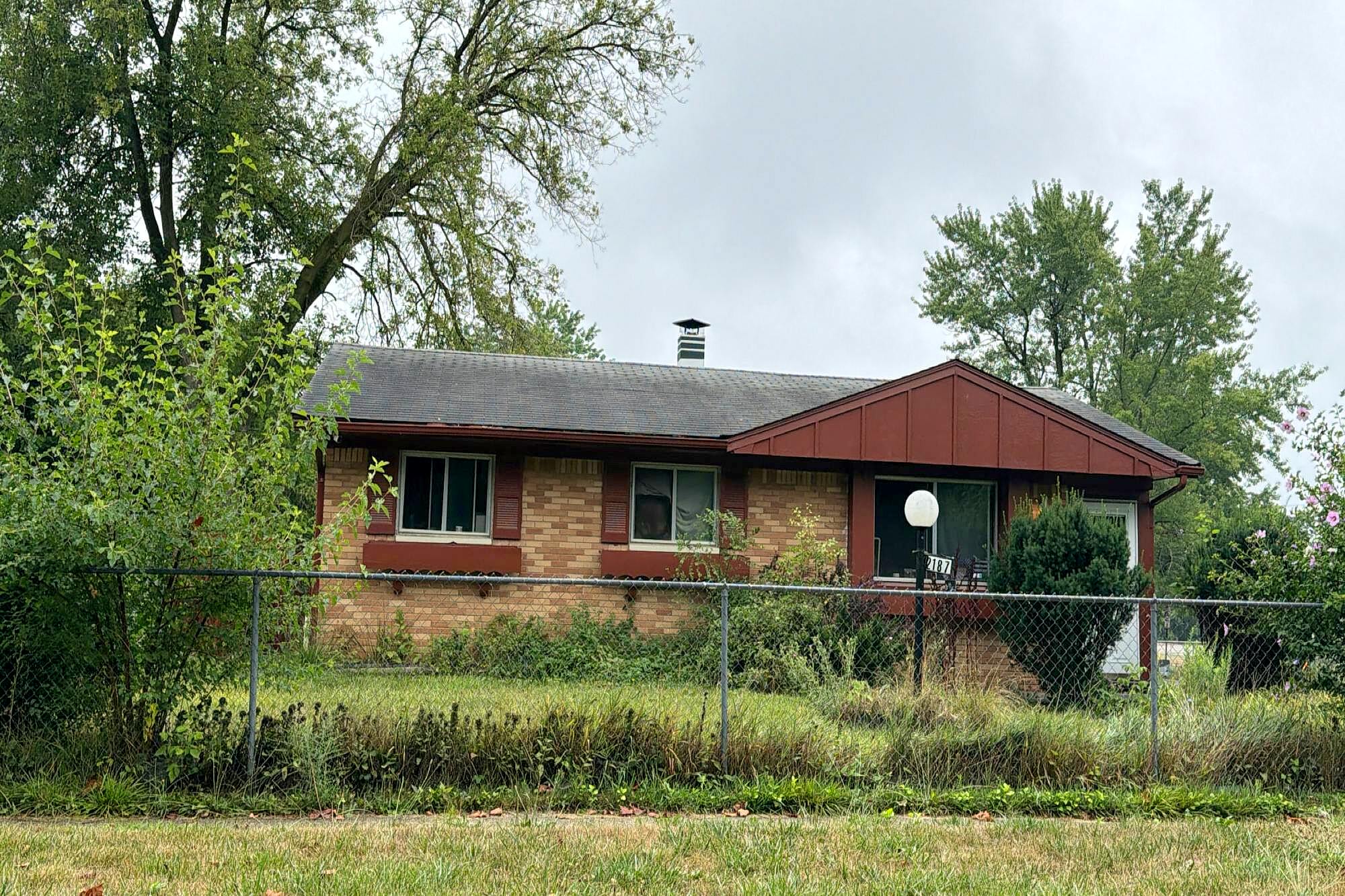 Main image