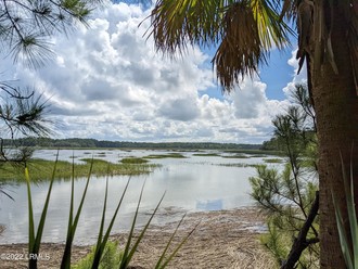 2 Dolphin Ln, Okatie, SC, 29909