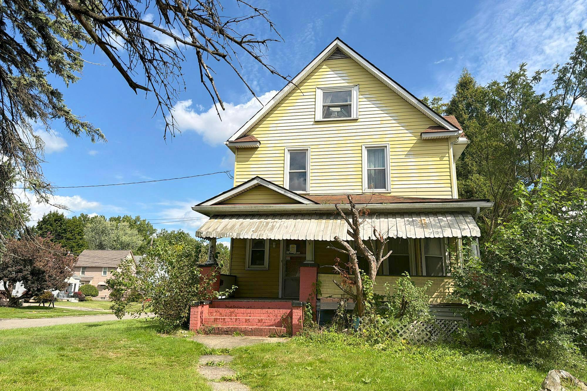 Main image