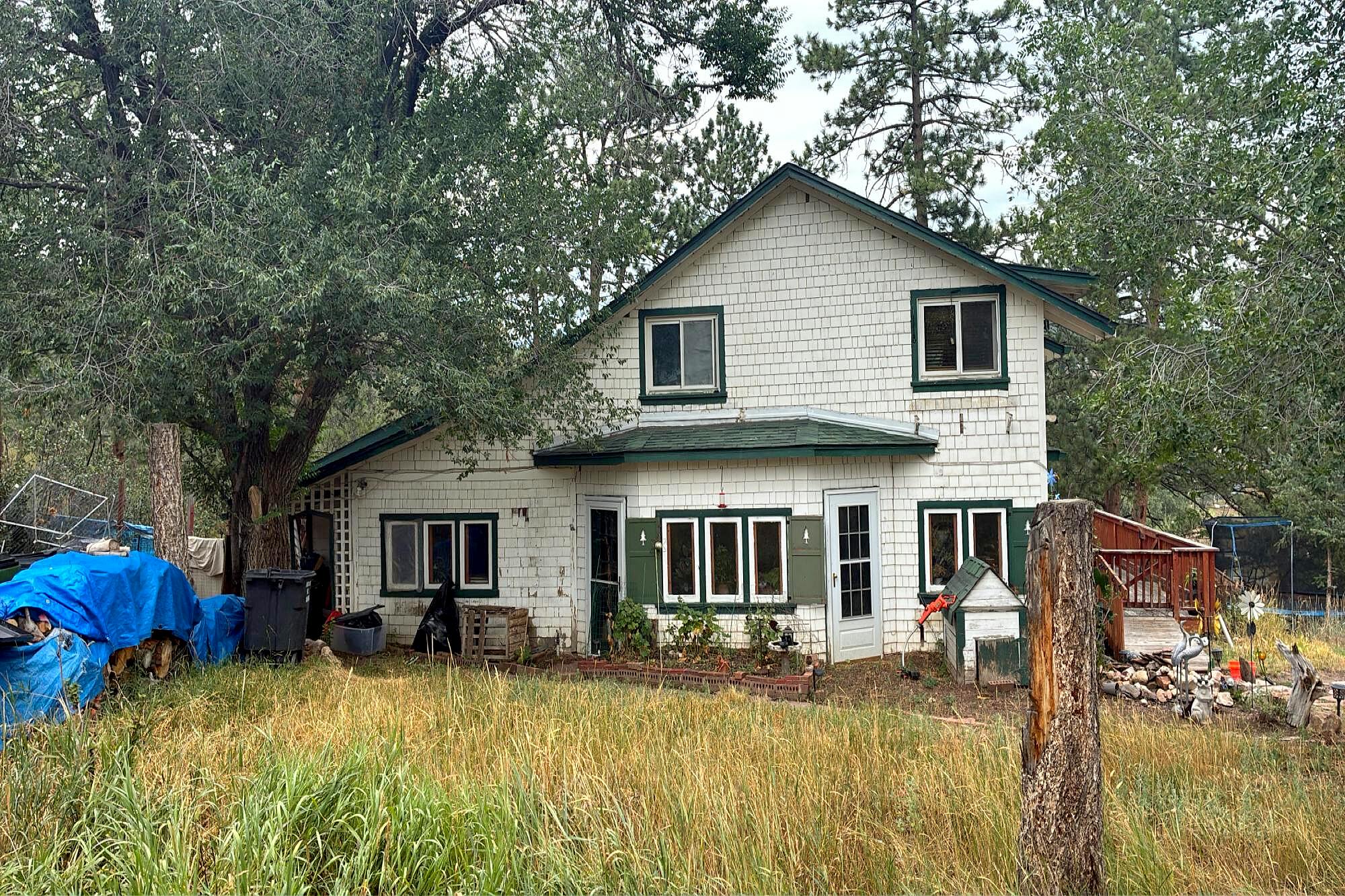 Main image