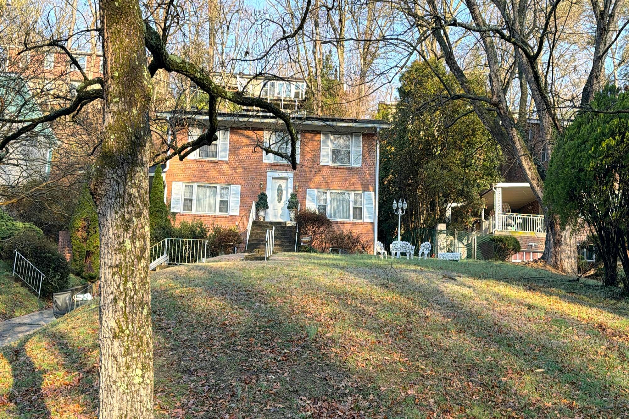 Main image
