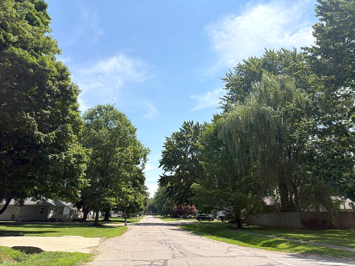 Main image
