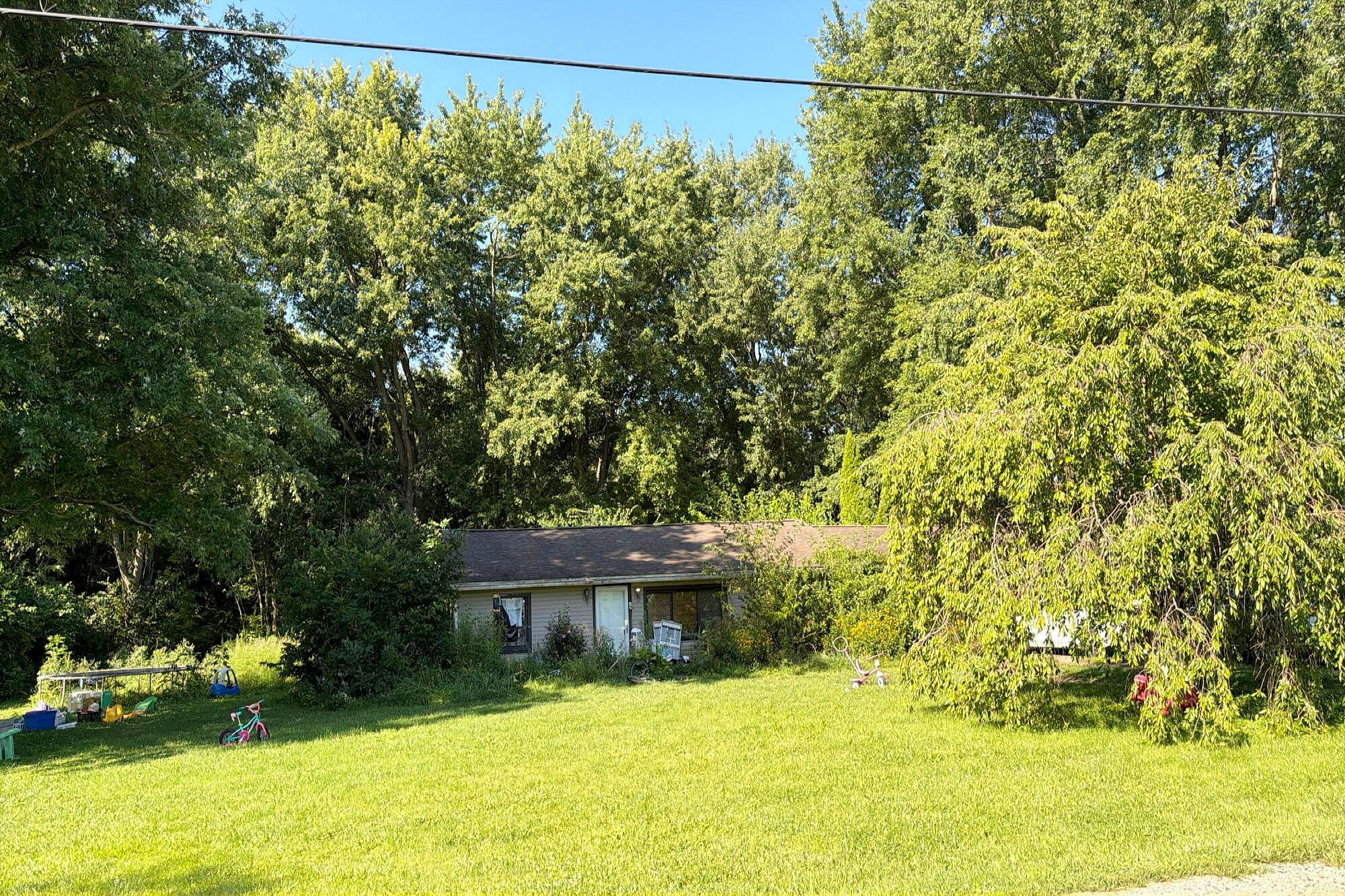 Main image