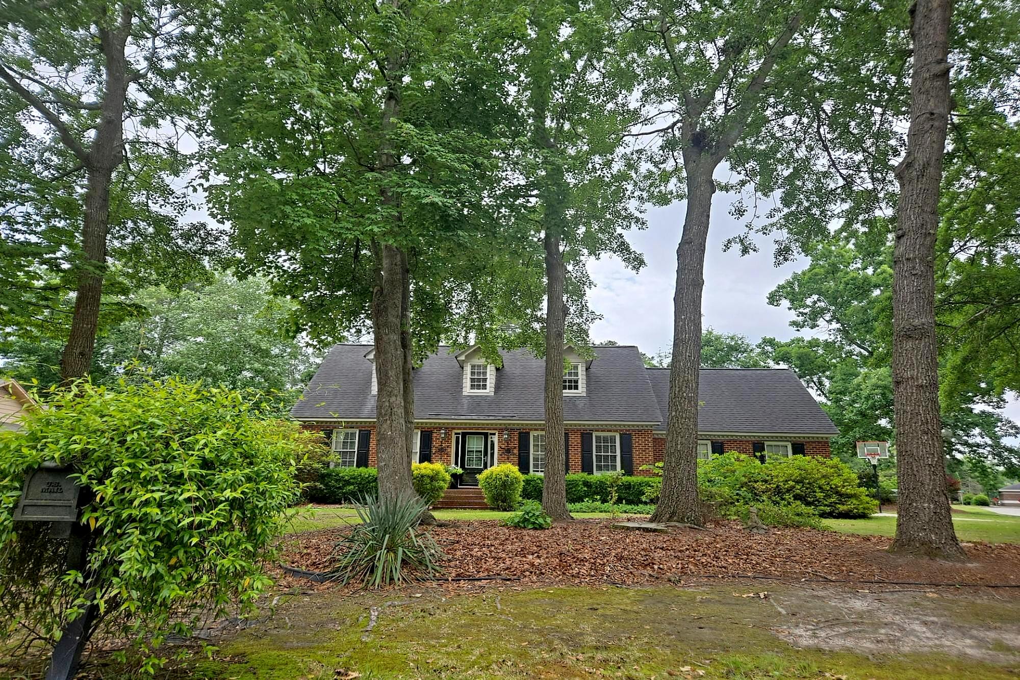 Main image