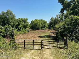 County Road 127, Union, MS, 39365