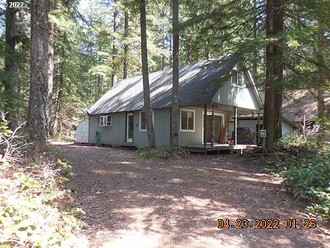 Cabin 81 Northwoods, Cougar, WA, 98616