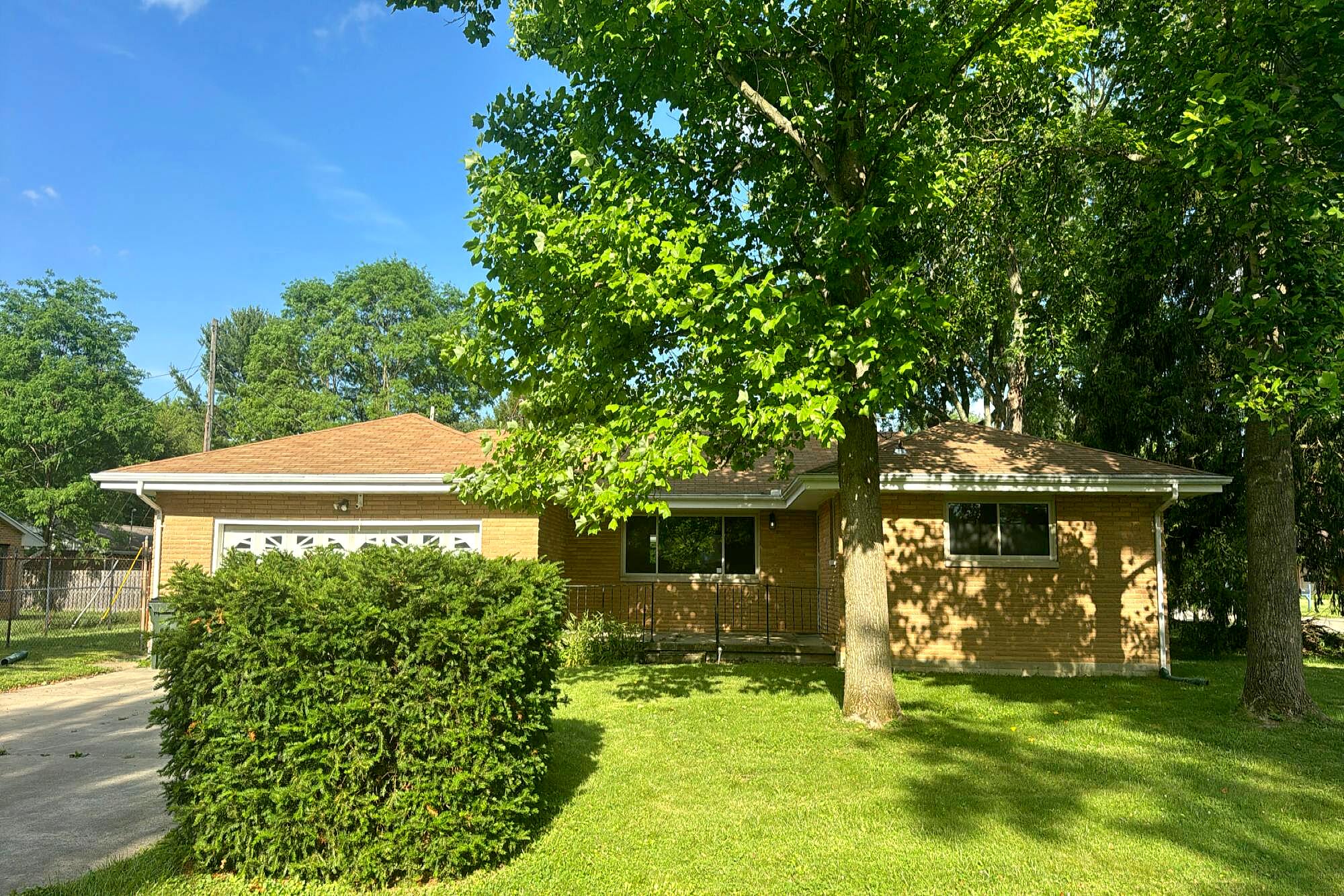 Main image