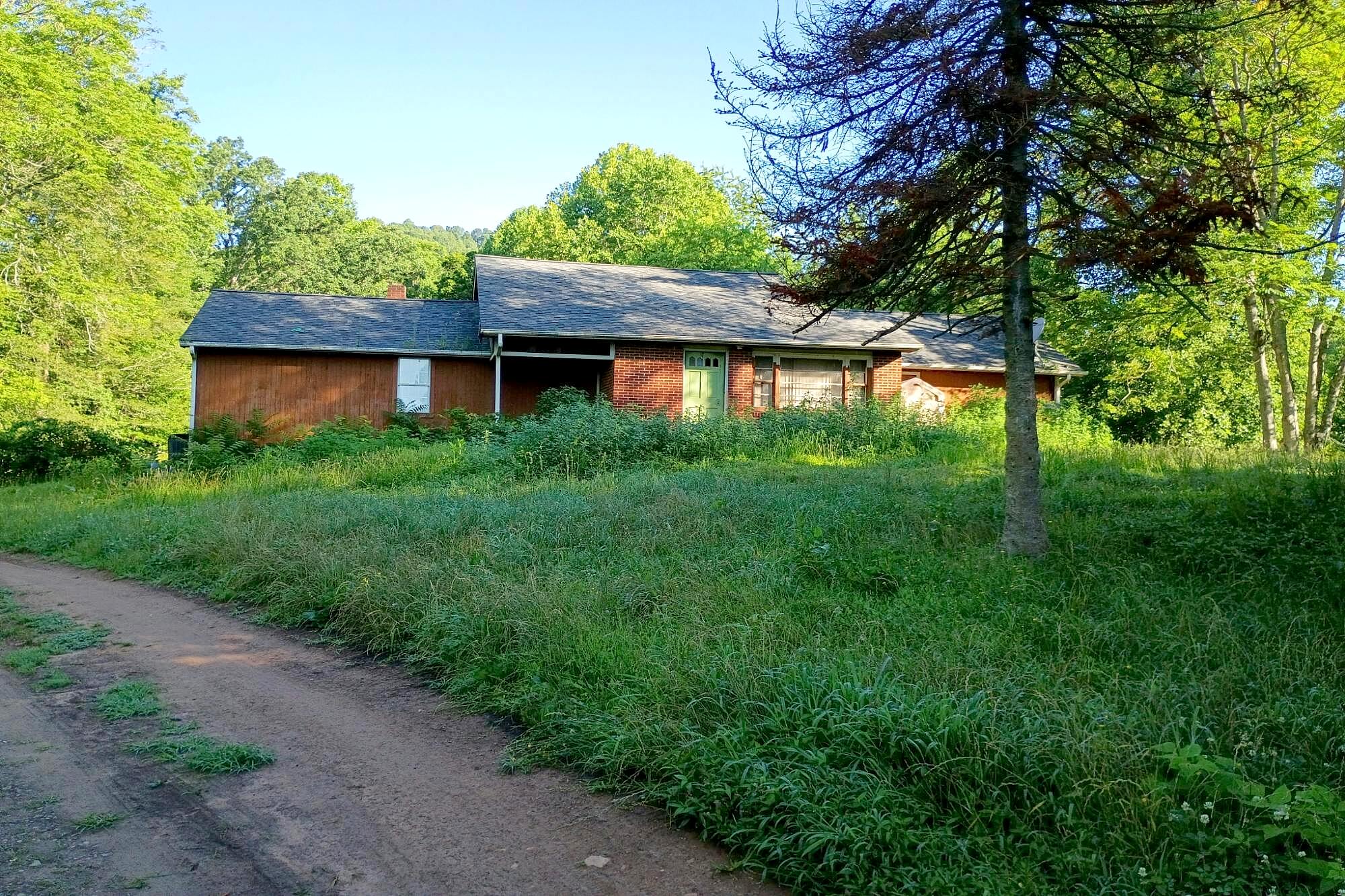 Main image